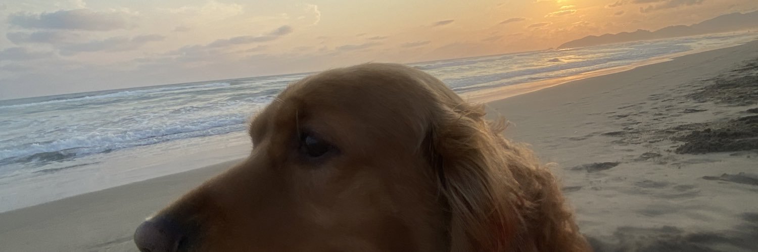 losgo's profile banner image