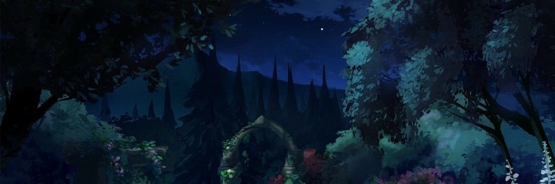 NoAurra's profile banner image