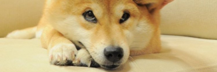 Az0h_'s profile banner image
