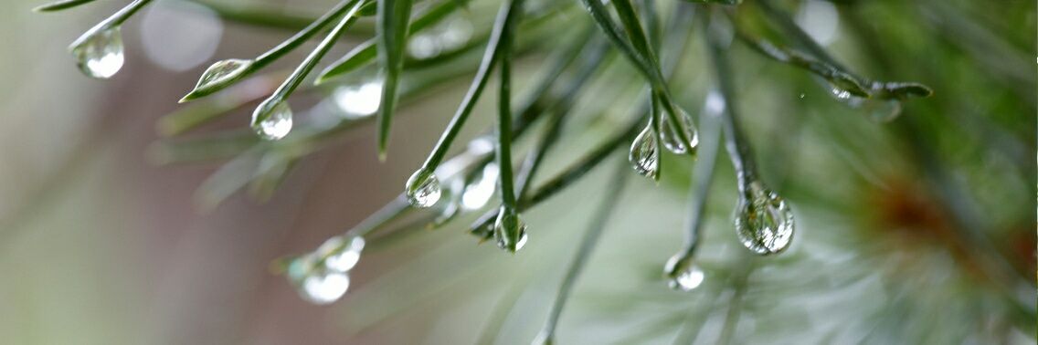 Ir. AMALLUDIN BIN ZOLKIFLI banner