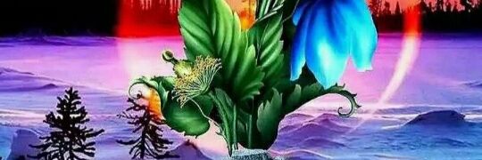 Samir1790's profile banner image
