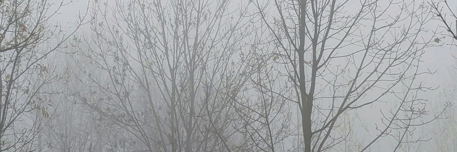 Saylm 🕸️🐾 banner