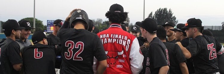 PC Baseball ⚾️🐾 banner