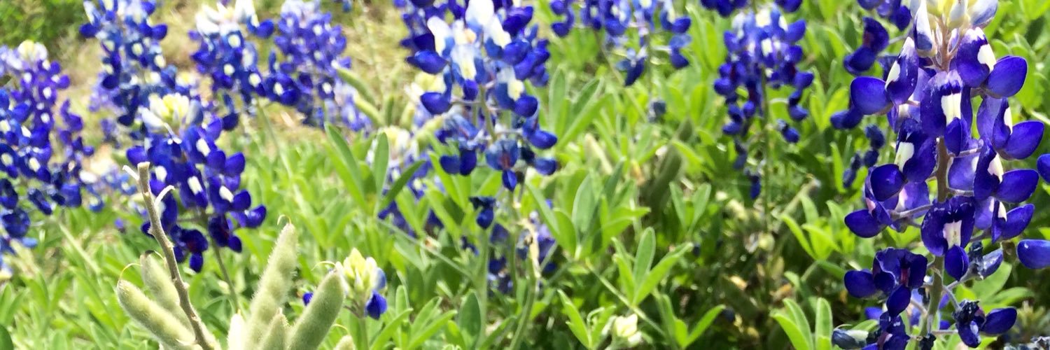 Em22307's profile banner image