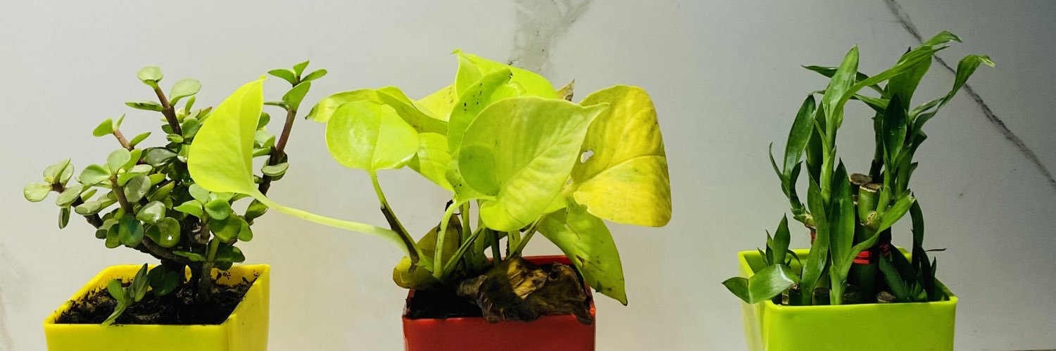 ସୁଜିତ ଦାସ | sujit das 🇮🇳 banner