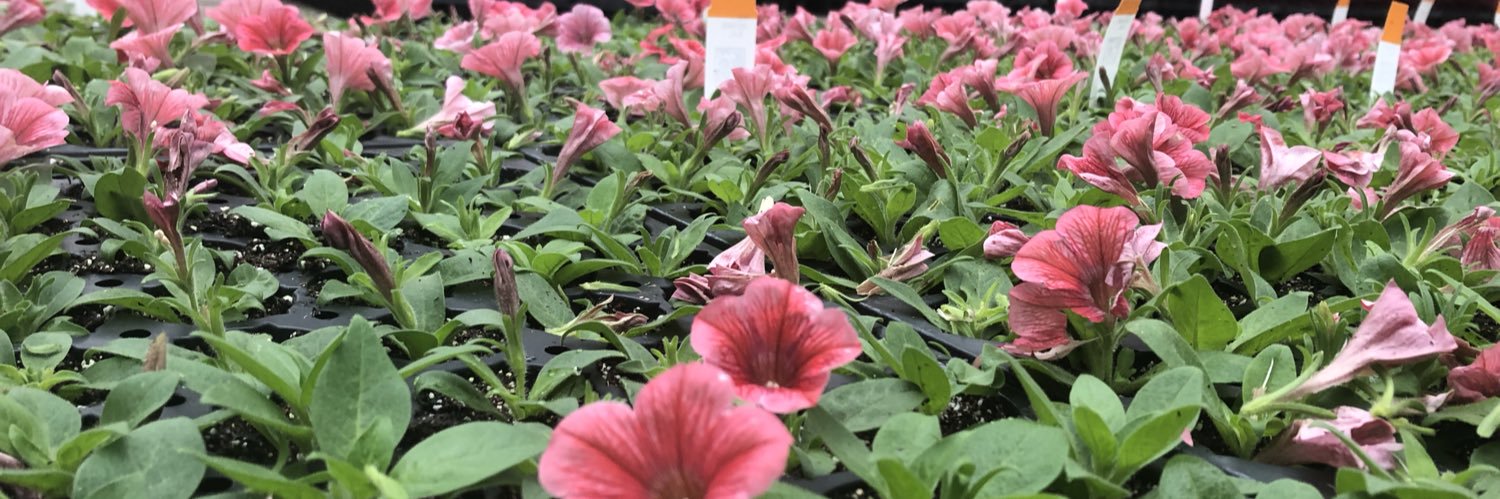 Hunter McBrayer banner