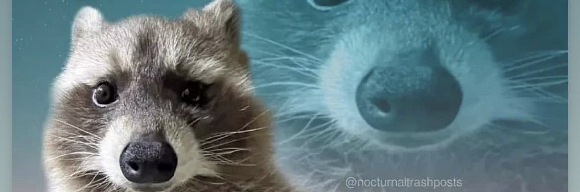 maddhester's profile banner image