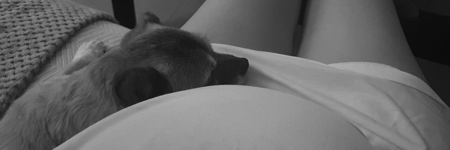 s_aidda's profile banner image