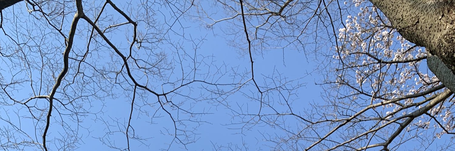 amdptr's profile banner image