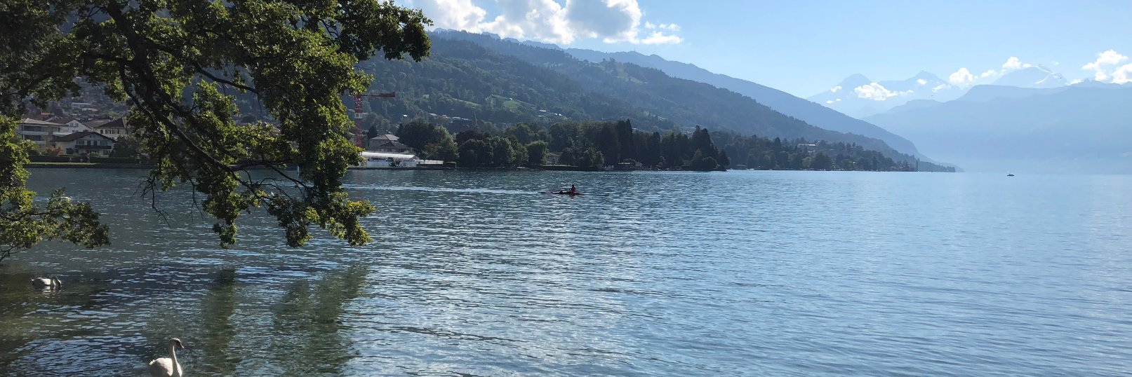 Montse Blasco banner