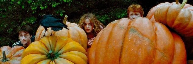 catlamayanoje's profile banner image