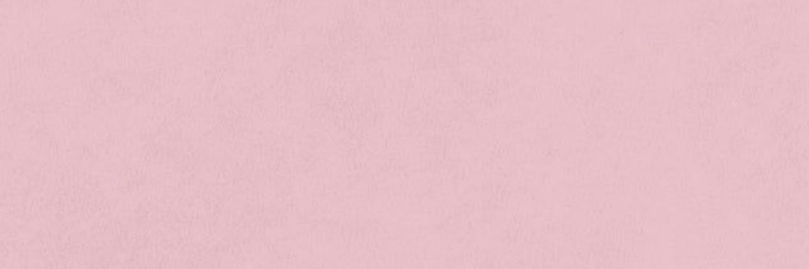 chloeiscozy🪷 banner