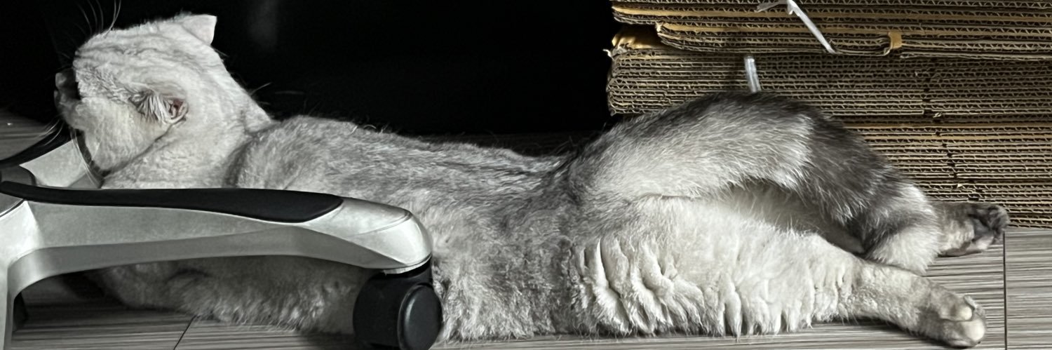 _shuchoux's profile banner image