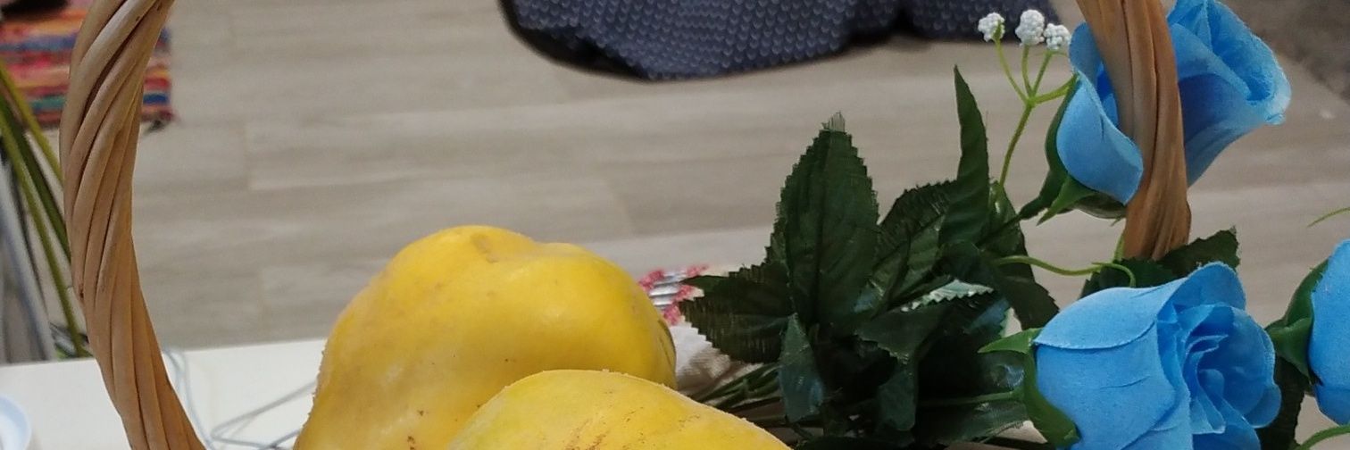JulianDomarco's profile banner image