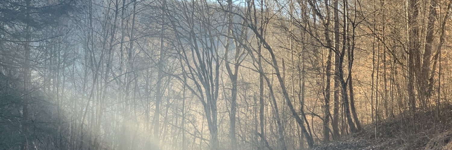 JasHeartsMusic's profile banner image