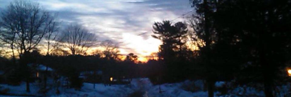 renae_havalotti's profile banner image