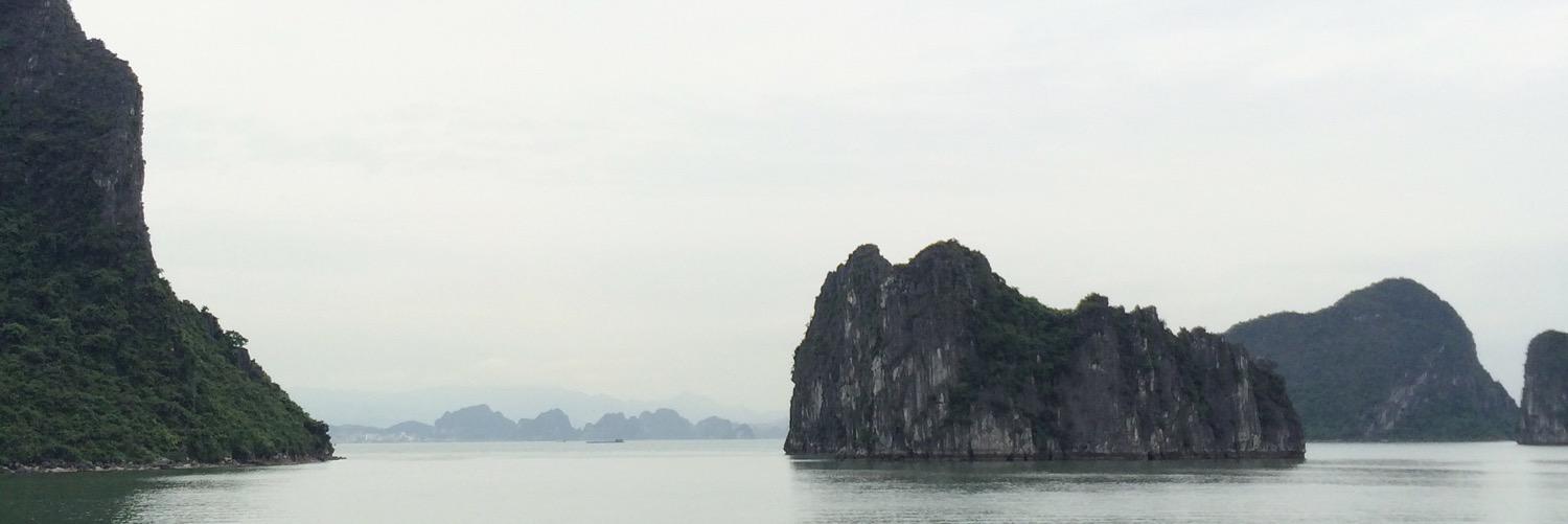 MarkKligman's profile banner image