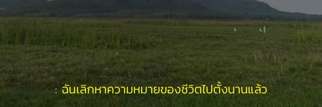 Maraarmo's profile banner image