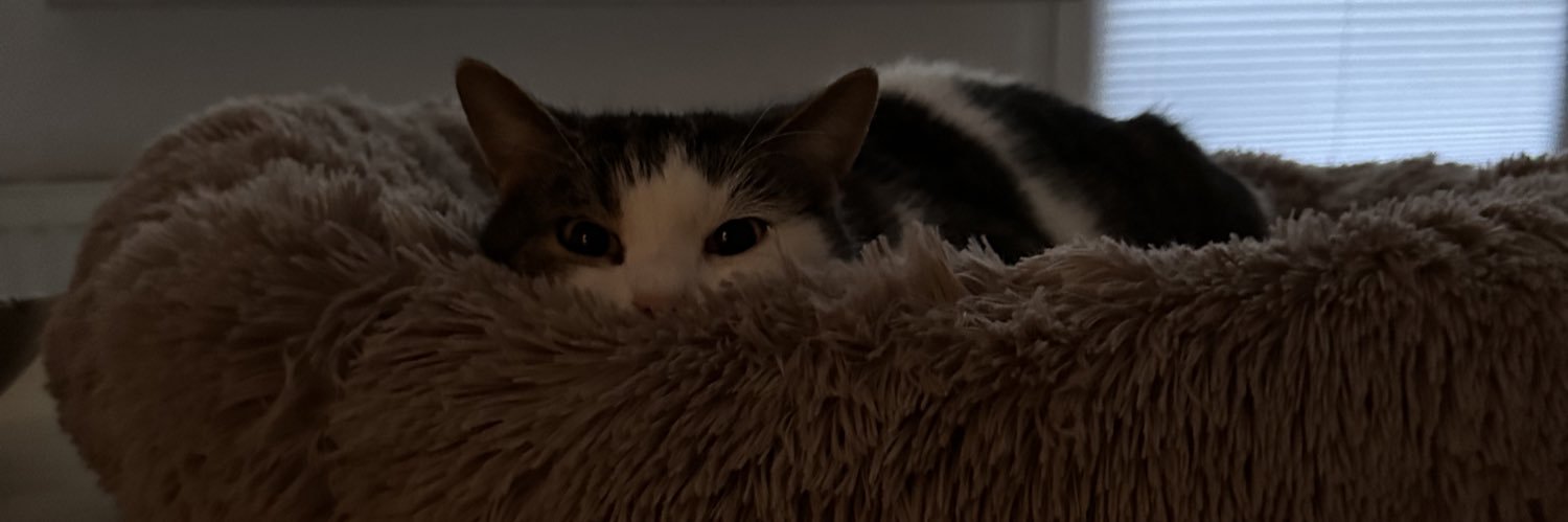 OliverTeske's profile banner image