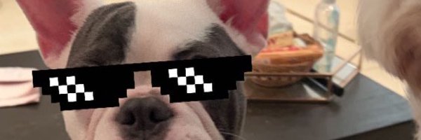 Uche_B_ Profile Banner