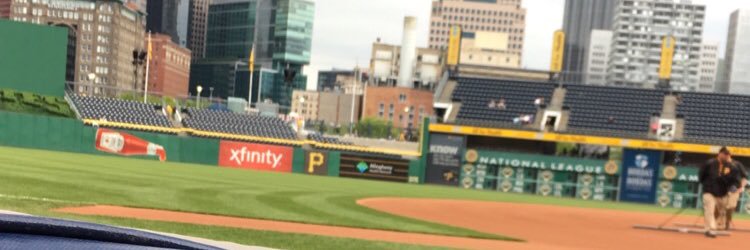 Anthony Napoleon banner