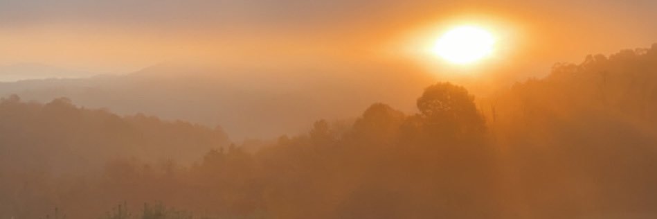 ryann_e_'s profile banner image