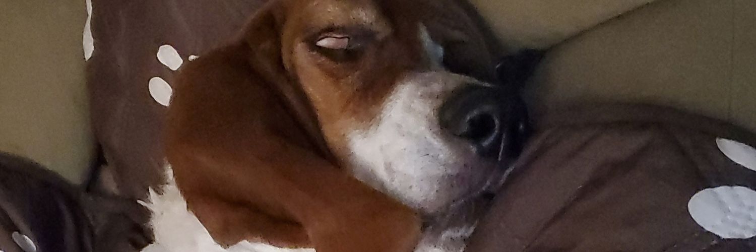 captnmericah's profile banner image