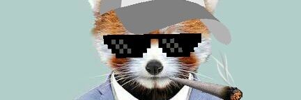 Brehhai's profile banner image