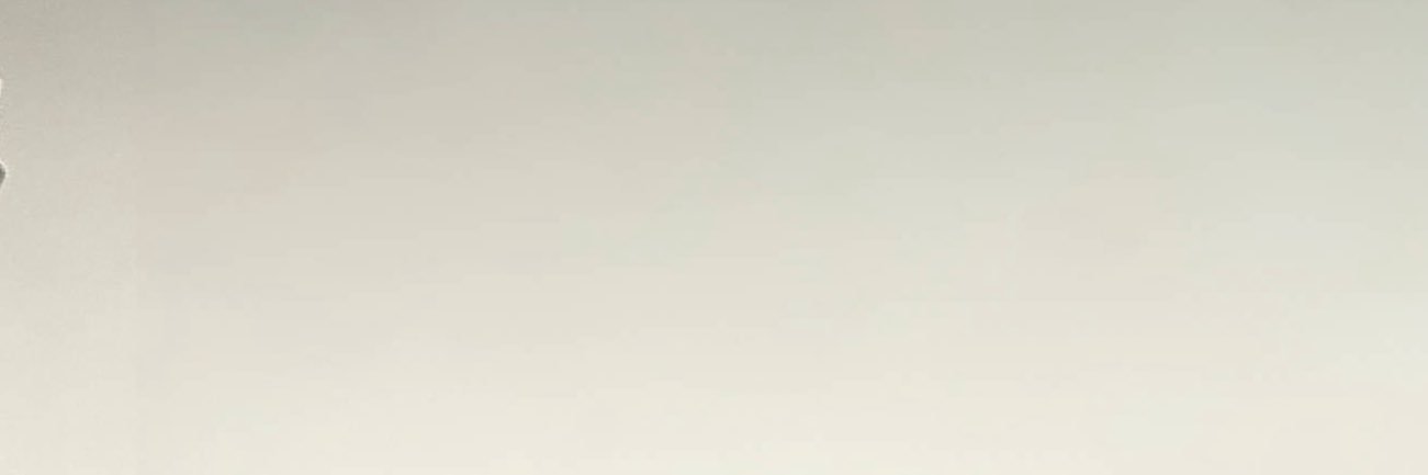✿'s banner