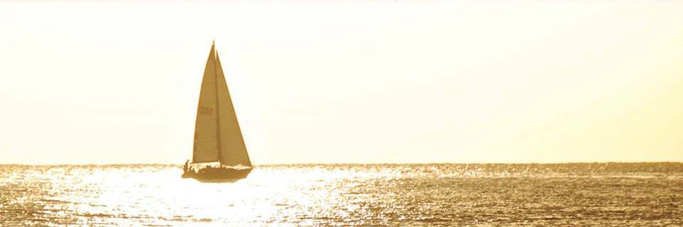 Cafish22's profile banner image