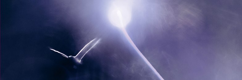 calinto500's profile banner image