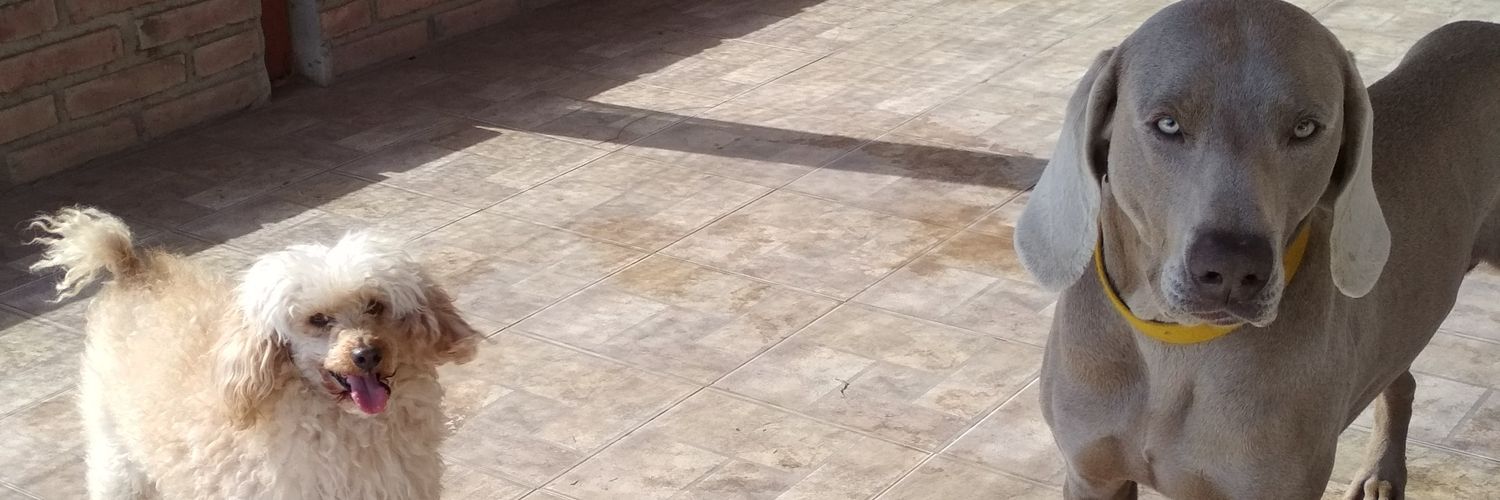 Meluvaldes's profile banner image