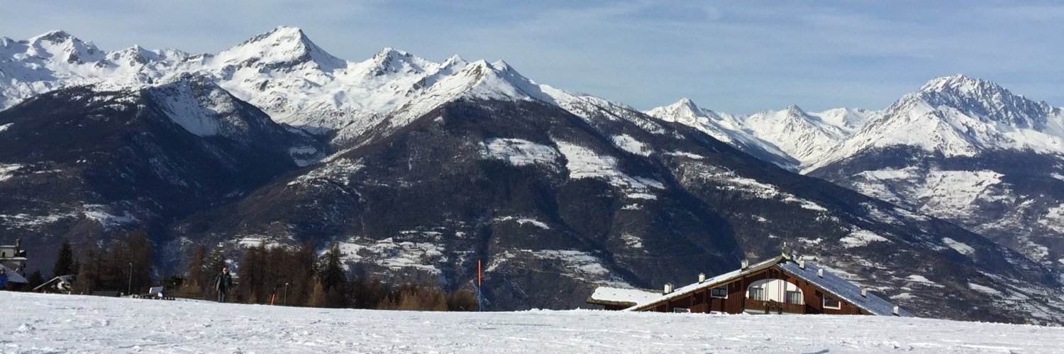 Harry Williamson banner