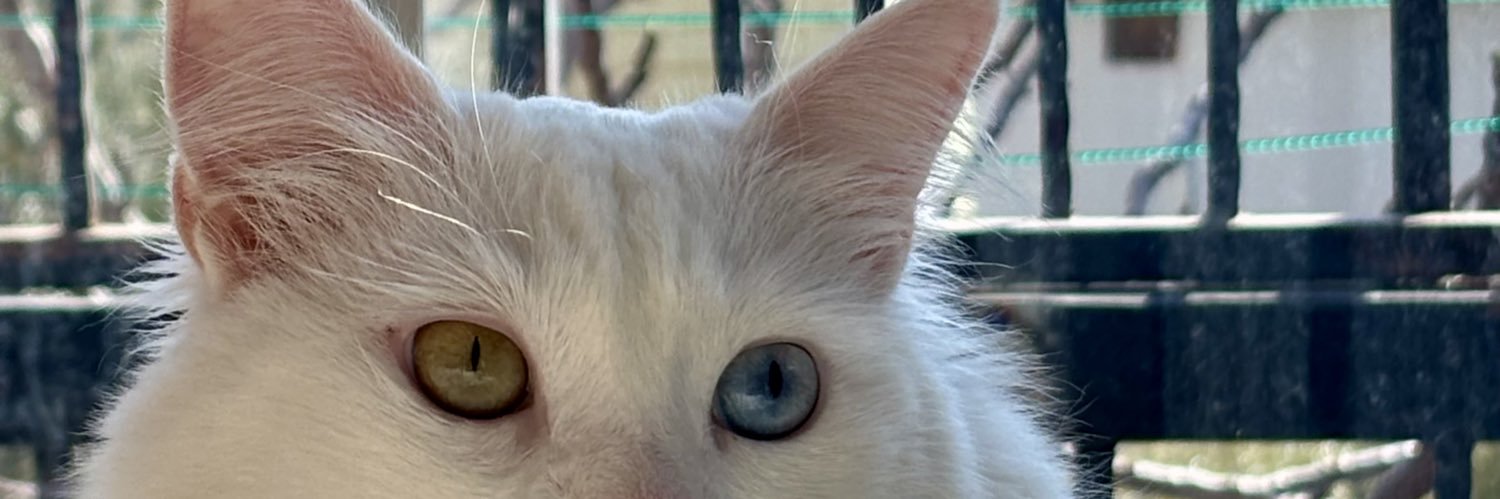 betulk__'s profile banner image