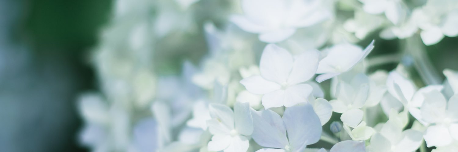 apple_candy67's profile banner image