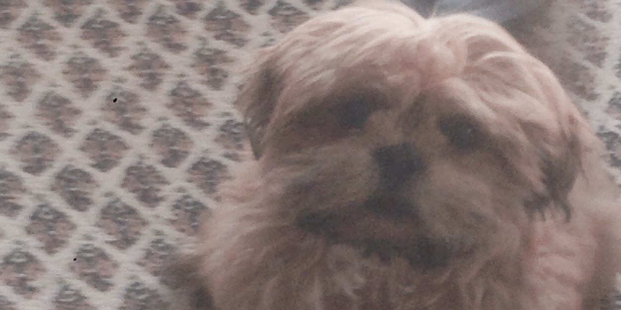 ChuckPoster's profile banner image