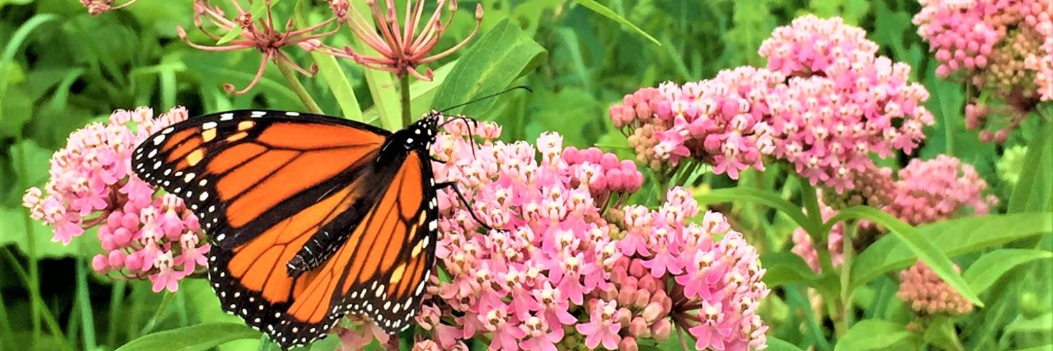 Sheridan Mission Zero banner