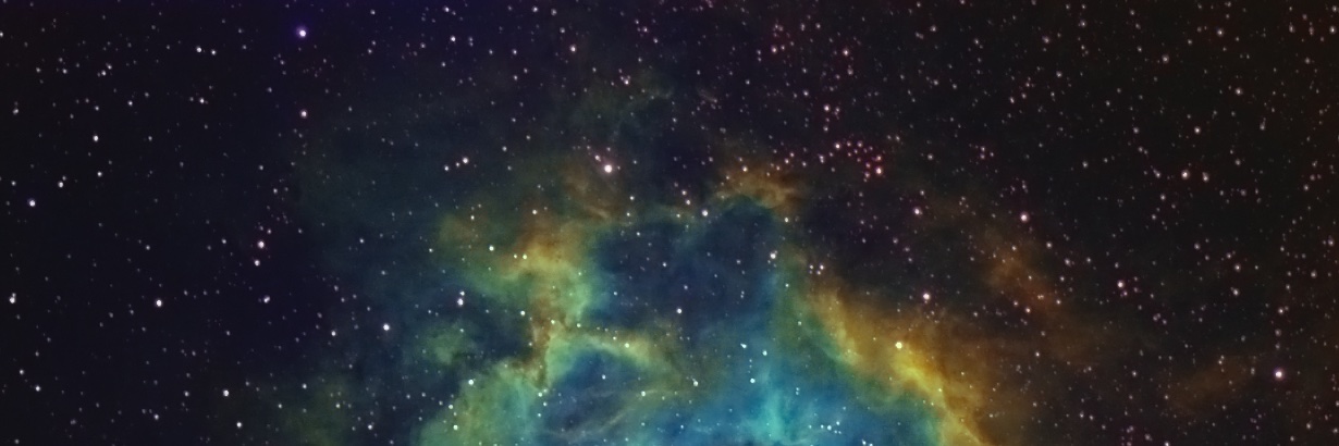 Jason Ho banner
