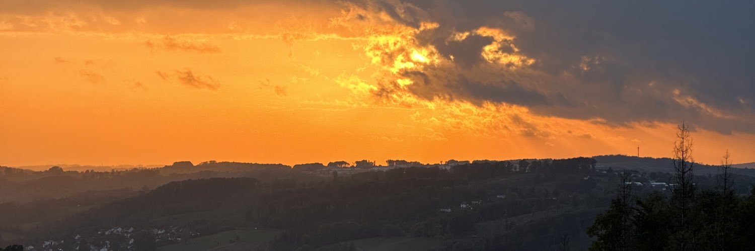rolandeluxe banner