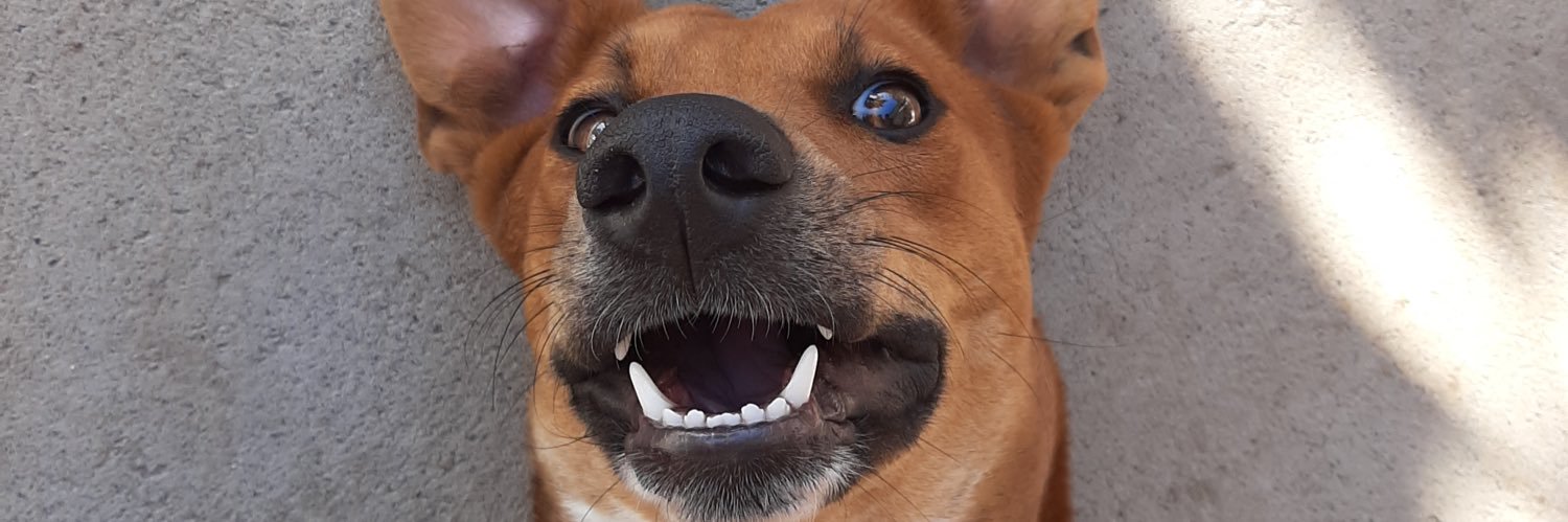 llfreitas_'s profile banner image