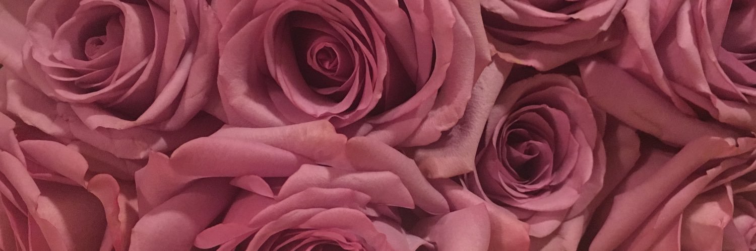 TaraaRenee's profile banner image
