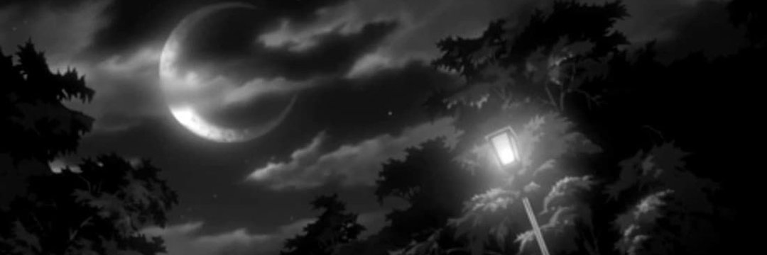 FLYTRAPq's profile banner image