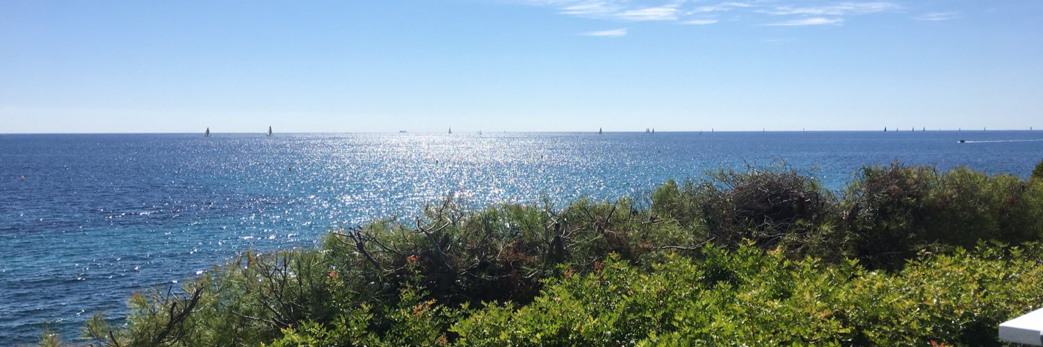 Elena G. Biosca banner