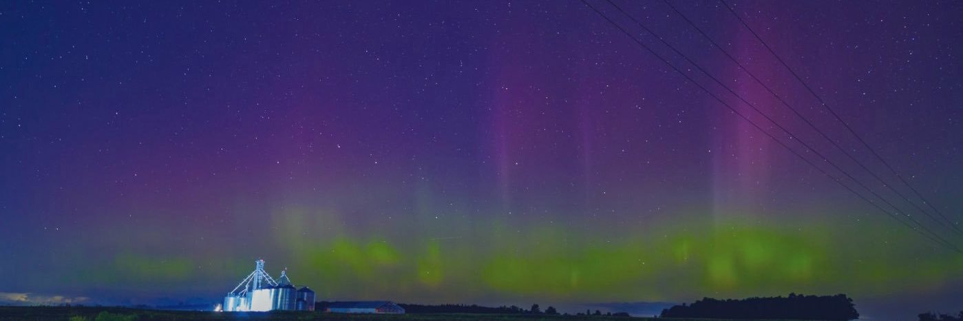 V.D.B. Grains Ltd banner