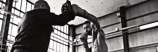 Giovanni De Carolis banner