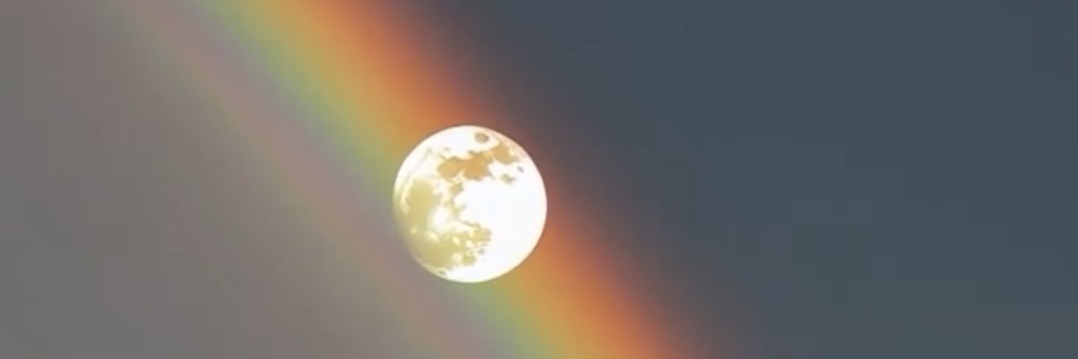 Tyna_Allen's profile banner image