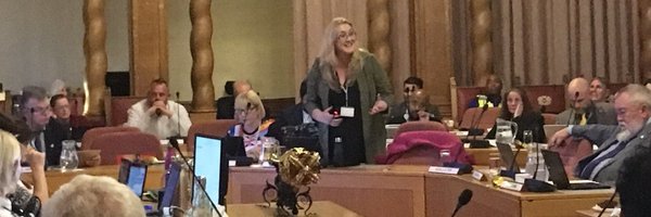 CllrJulieS Profile Banner