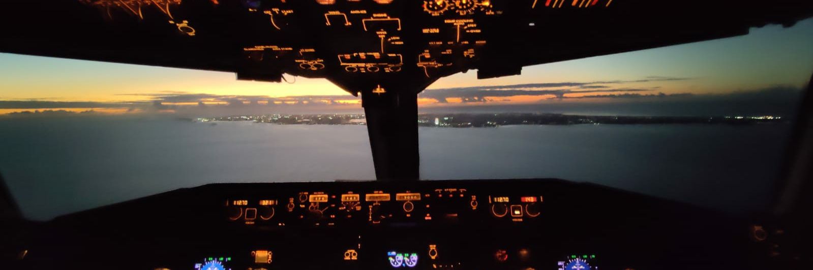 \_____x(Jasper)x_____/ 🐦 banner