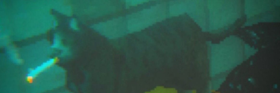 Owen ash fcb banner