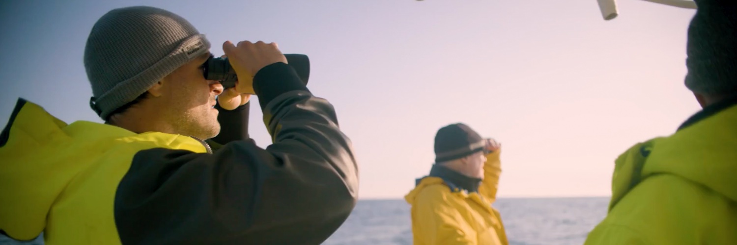 Environment Progress banner